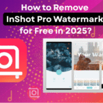 Remove InShot watermark free